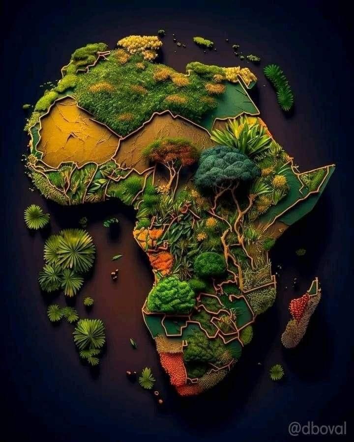Lamidat de Ngaoundéré