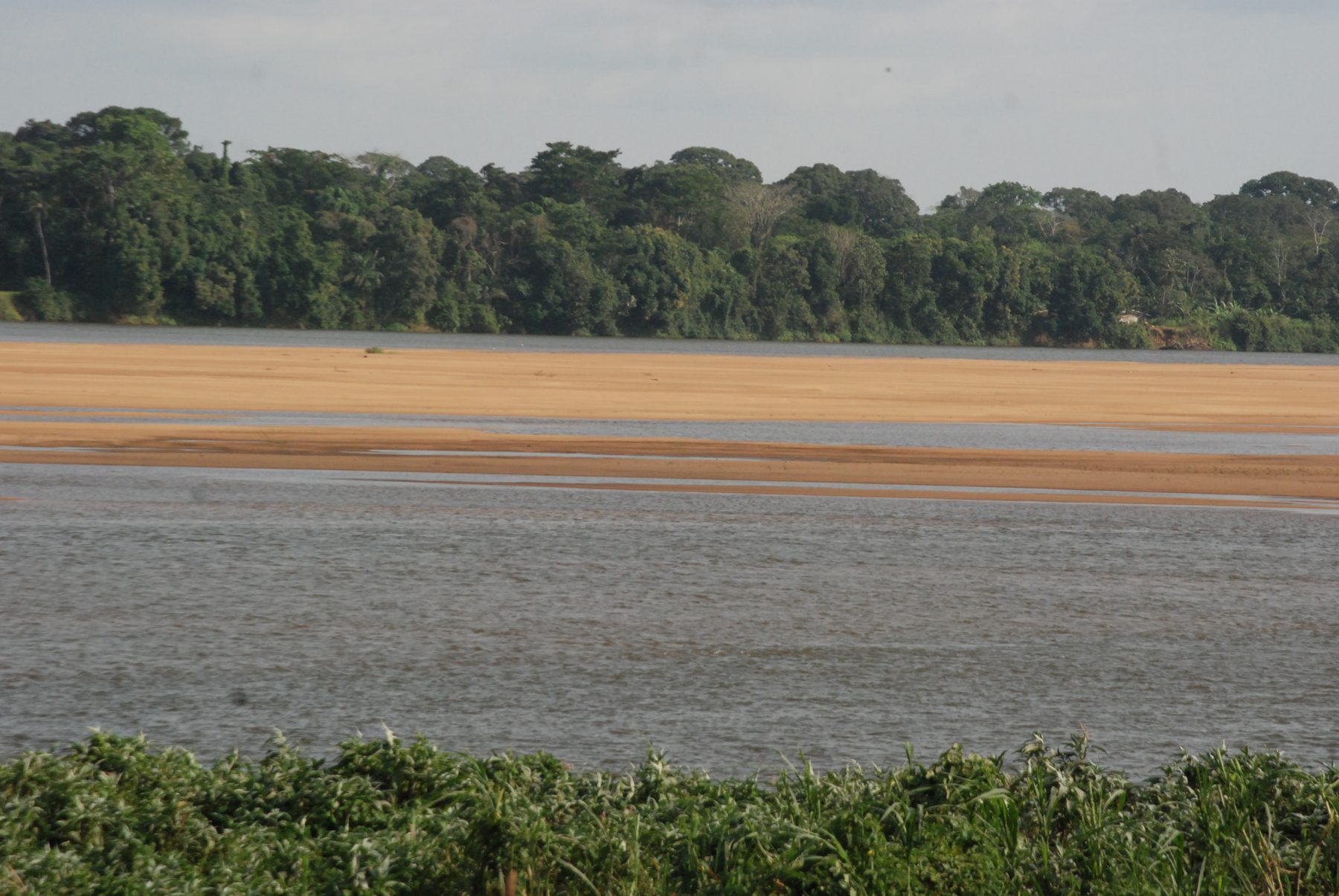 The banks of the Sanaga river, at Édéa.