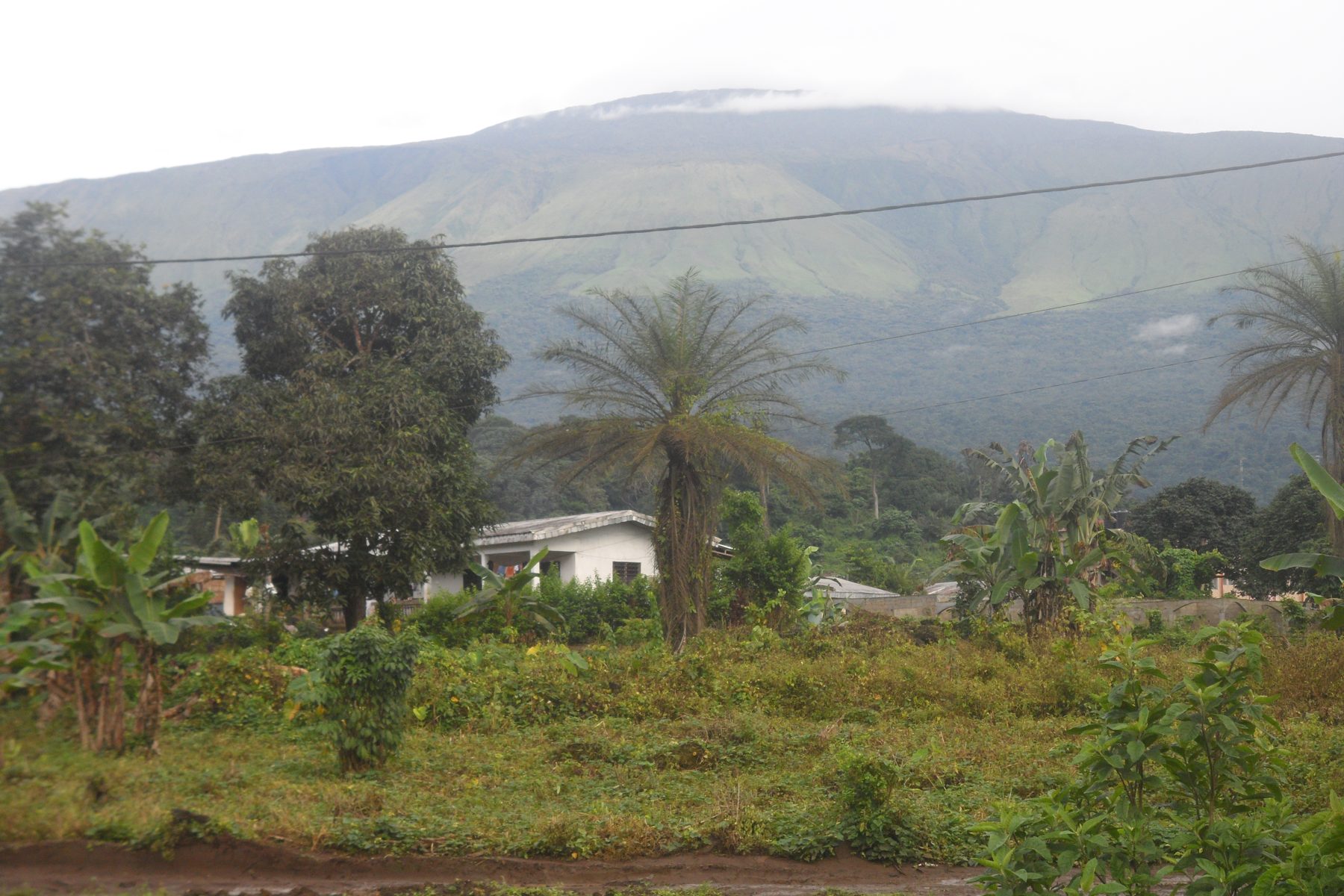 Mount Cameroon, seen from Buea.