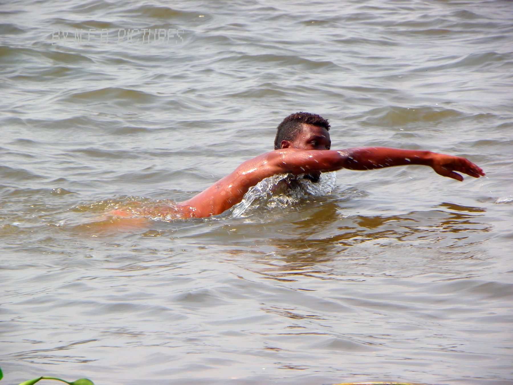 A Wouri swimmer during the Ngondo festival.