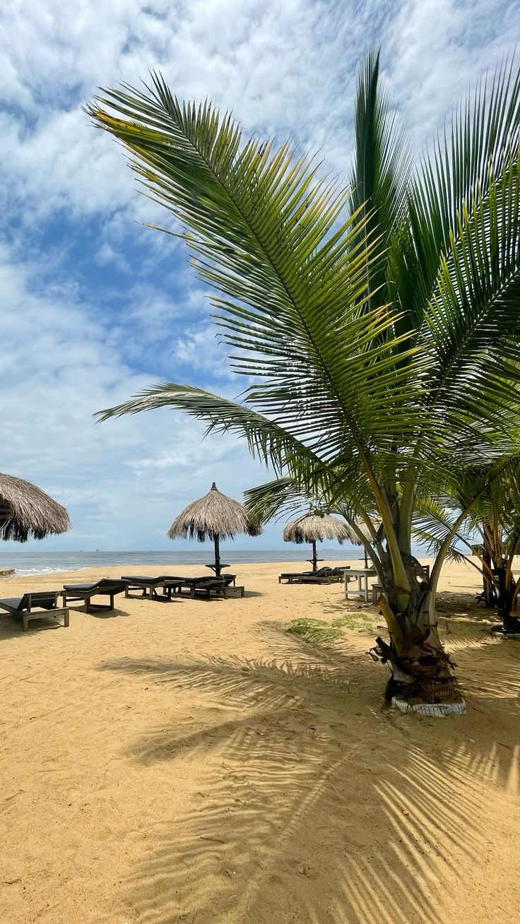 Plage de Kribi
