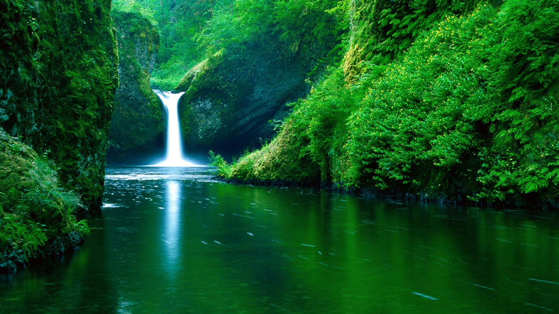 Parc National de Nki